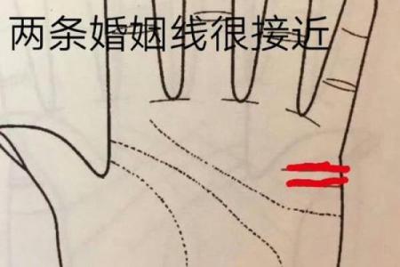 手相揭秘：感情线清晰，揭秘你的爱情运势