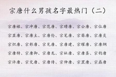 唐姓起名趋势分析