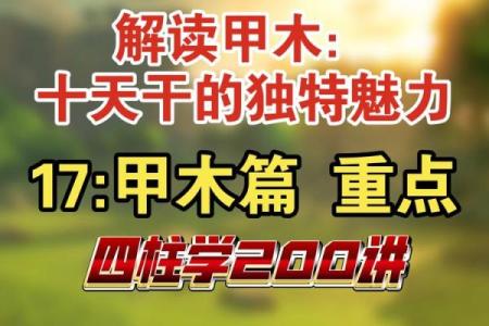 如何通过天干全甲掌控未来的成功密码