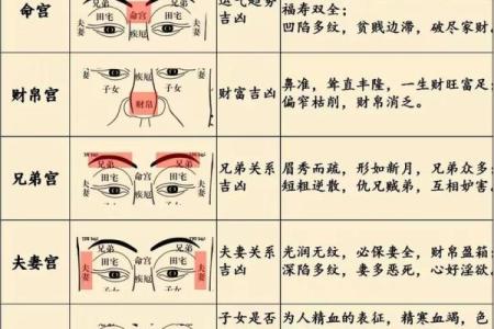 揭秘面相奥秘：鼻子面相大全，让你一眼识人