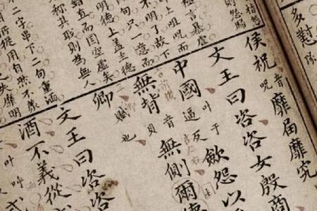 揭秘命公司名背后的神奇力量