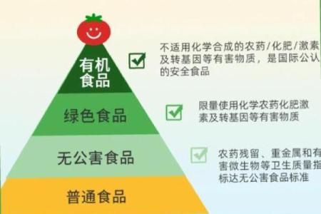 食品公司命名技巧大揭秘