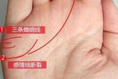 手相揭秘：一窥你的婚姻命运，揭秘未来伴侣的神秘面纱