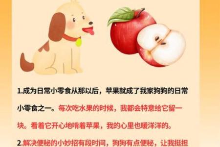 狗年说狗事：鸡男女狗婚姻，揭秘神秘搭配真相