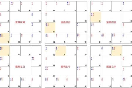紫薇斗数排盘深度解析，破解命运的神秘密码