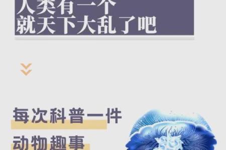 兔虎相配：揭秘动物界的神奇组合