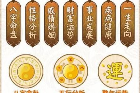 如何通过八字分析提升学业运势