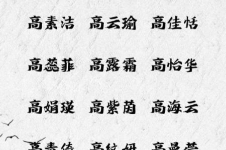 高姓起名：寓意深远又独具特色的名字推荐
