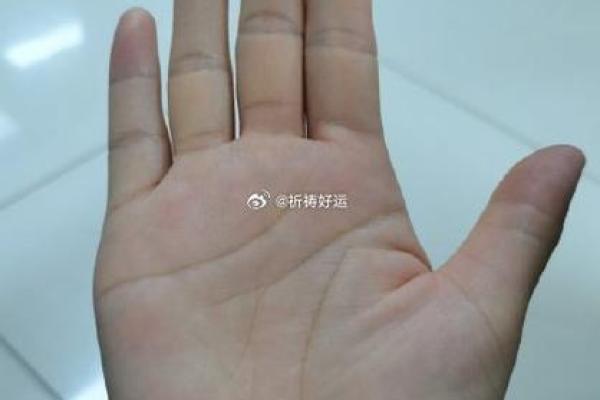 手相揭秘：兄弟姐妹缘分的秘密，一看便知