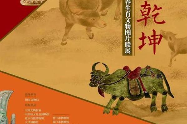 揭秘：归的生肖，探寻你的神秘命运