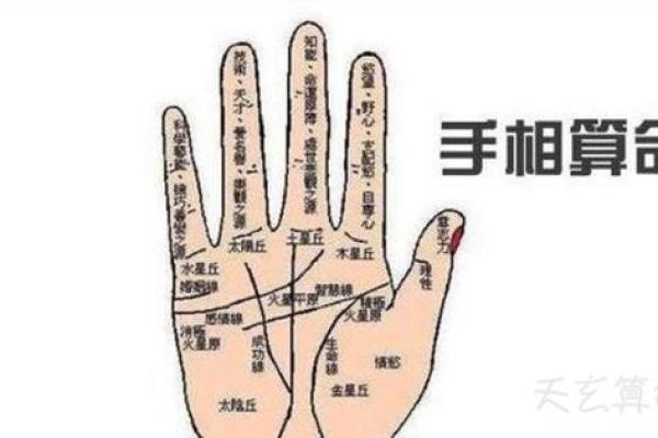 手相揭秘：一招看透寿命长短，让你预知未来健康