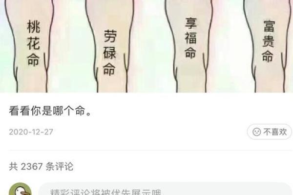 命理四脚马：如何揭示你人生的命运密码