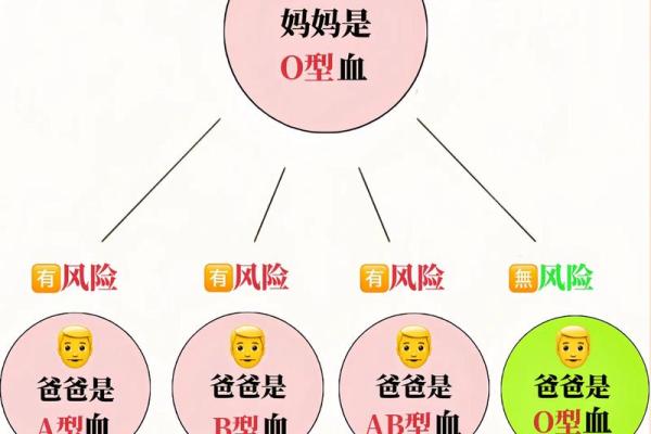 精准血型配对，健康生活新选择