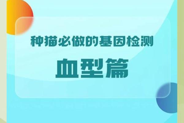 精准血型配对，健康生活新选择