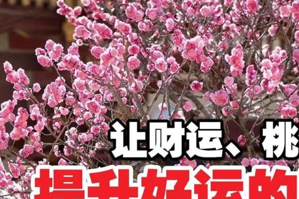 红运当头，绿意盎然——揭秘家居风水色彩魔法，助你财运亨通、事业兴旺