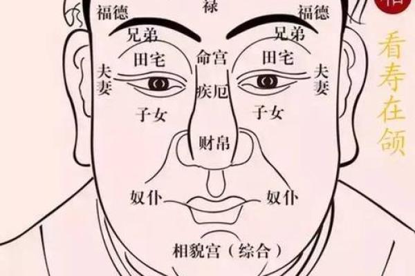 面相与命理：你从容不迫的成功密码