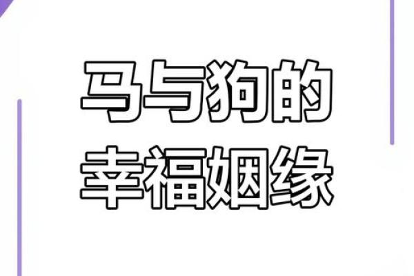 马年姻缘：男女属马婚姻相配，幸福指数飙升
