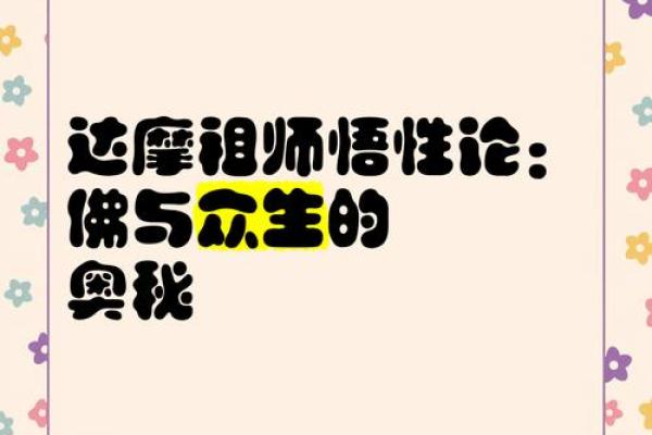 前世排盘与达摩一掌经的奇妙联系：揭开命运的面纱