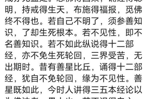前世排盘与达摩一掌经的奇妙联系：揭开命运的面纱