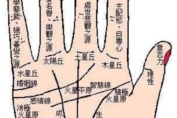 卜居易八字排盘网揭秘：一生运势全掌握