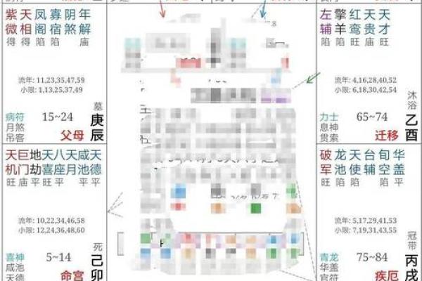 探索紫薇排盘的奥秘，深入解析每个命宫的深层含义