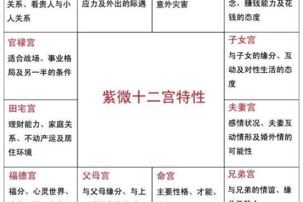探索紫薇排盘的奥秘，深入解析每个命宫的深层含义