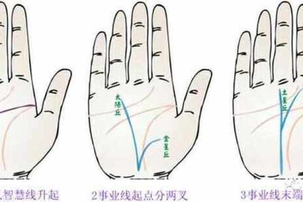 揭秘手相事业线和财运线：你的命运密码在这里