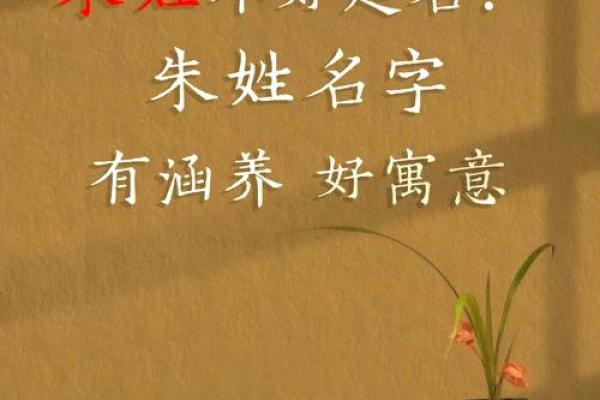朱姓取名攻略：如何为宝宝选择一个完美名字