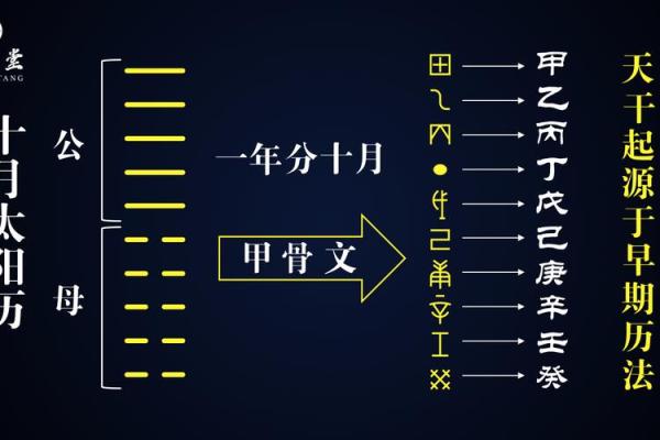 天干代表的辰，你了解多少？