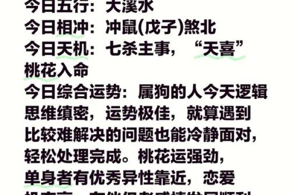 属兔遇属狗：一场浪漫的星座缘分之旅