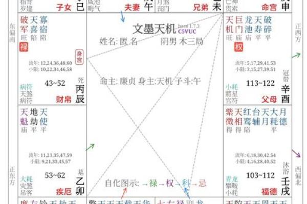 紫微命盘免费排盘大公开，帮你精准解读人生运程