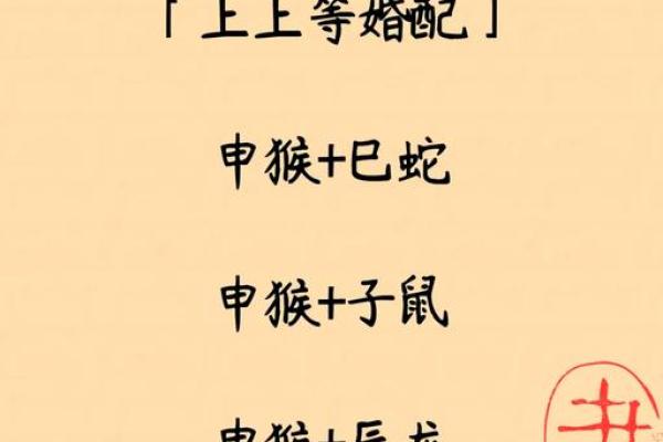 92年属猴最佳配对，揭秘幸福姻缘秘诀