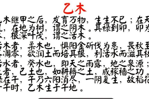 解密天干局，预测未来趋势的关键