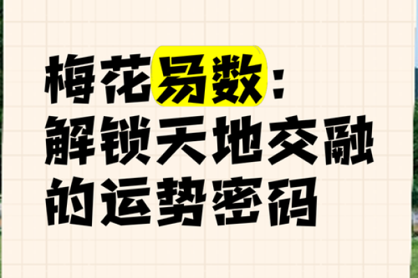 掌握六爻排盘梅花易数，解锁精准预测技巧