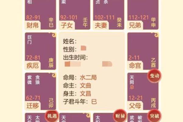 掌握溜溜封意排盘技巧，破解人生大运