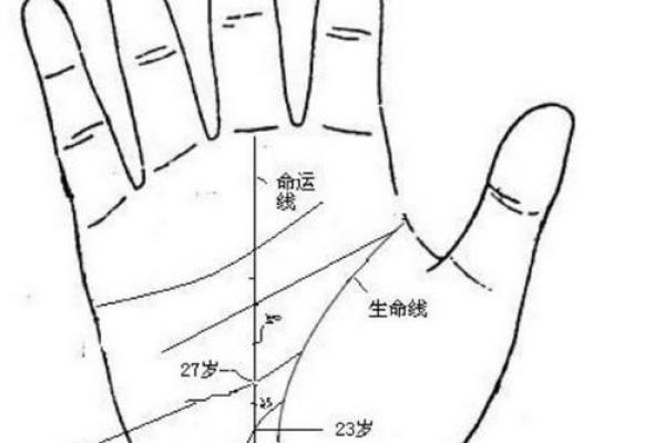 手相揭秘：揭秘写1的手相秘密，让你运势飙升