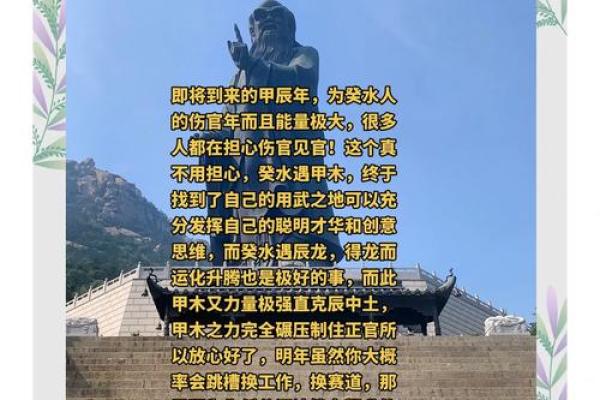 揭秘：甲寅年水命背后的神秘力量