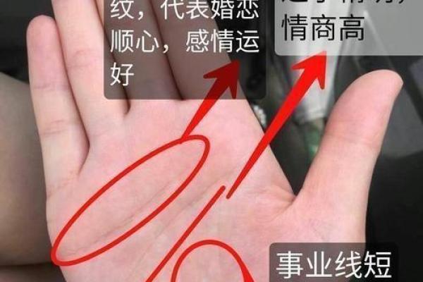 手相揭秘：田字格预示，揭秘你的运势密码