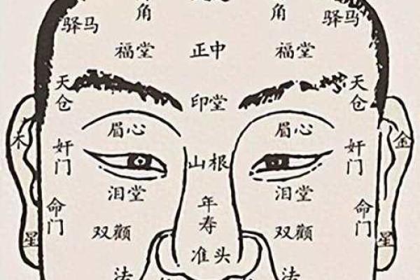 揭秘长圆脸面相的财运与运势：你的命运密码在这里