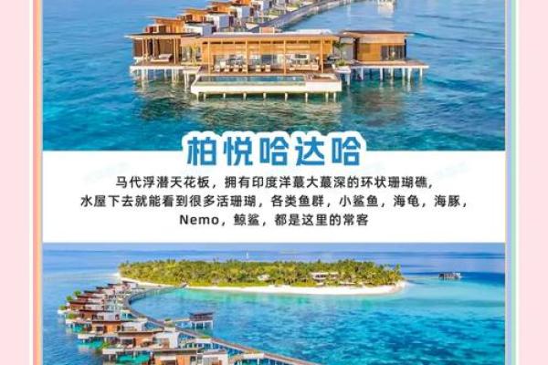 给岛屿命名：如何让它成为你心中的天堂