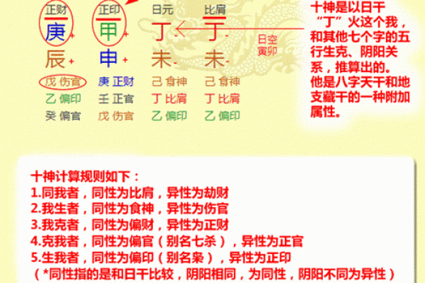 八字平排盘入门指南，快速提升命理分析能力