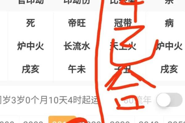 金口诀起课排盘全攻略，助你准确解读八字命运！