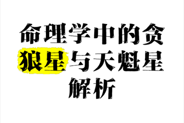 贪狼命理加持：从养生开始改变人生