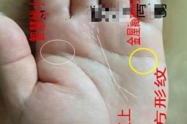 揭秘手相奥秘：手相算命图解大全，轻松读懂命运密码