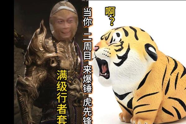 双虎搭配，实力爆发