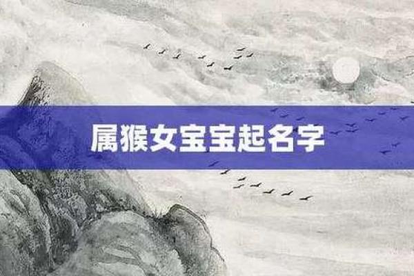 精选男孩属猴名字，最有寓意的起名指南