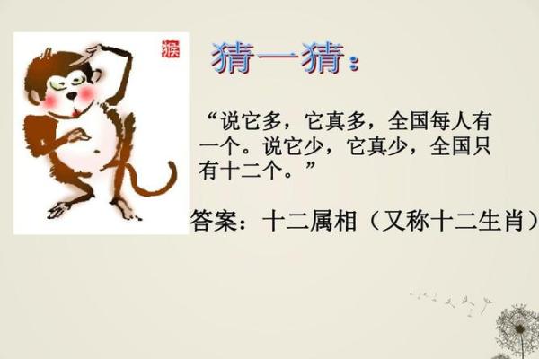 生肖之谜：揭秘你的月猜一生肖命运