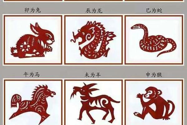 生肖之谜：揭秘你的月猜一生肖命运