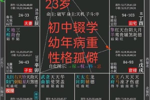 紫薇排盘各宫解析：解锁命运密码，揭示人生走向