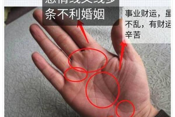 手相秘籍：一把握住命运的玄机，揭秘你的命运人生